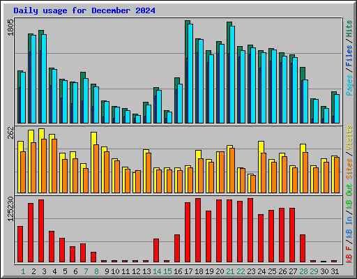 Daily usage for December 2024