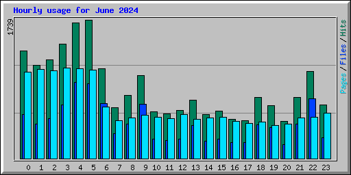 Hourly usage for June 2024