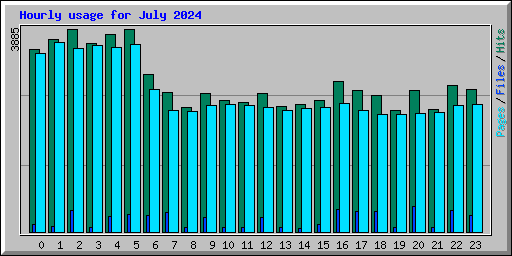 Hourly usage for July 2024