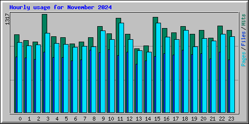 Hourly usage for November 2024