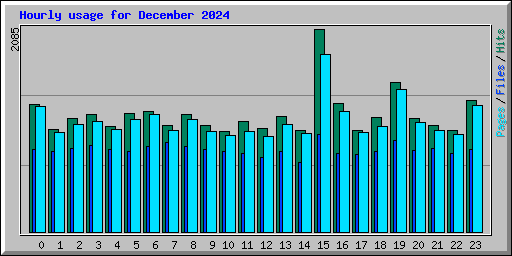 Hourly usage for December 2024