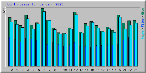 Hourly usage for January 2025