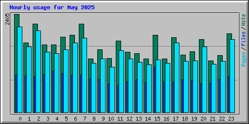 Hourly usage for May 2025