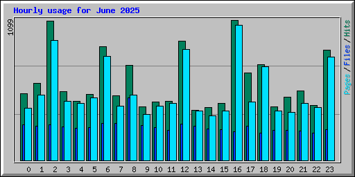 Hourly usage for June 2025