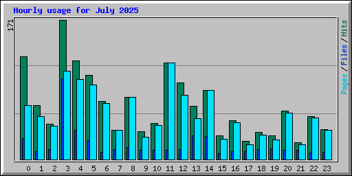 Hourly usage for July 2025