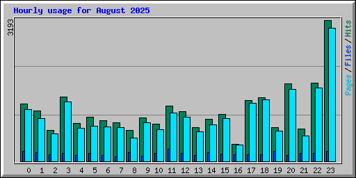 Hourly usage for August 2025