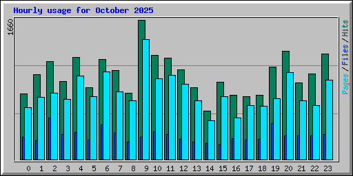 Hourly usage for October 2025