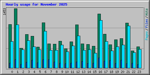 Hourly usage for November 2025