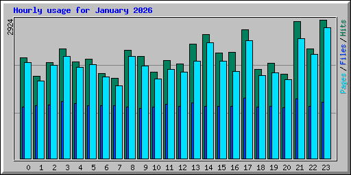 Hourly usage for January 2026