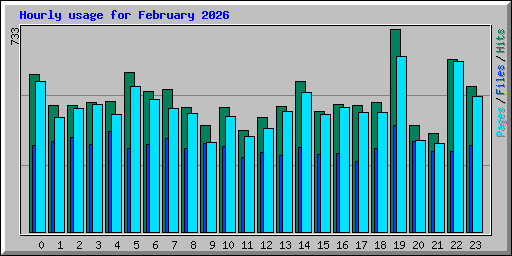 Hourly usage for February 2026