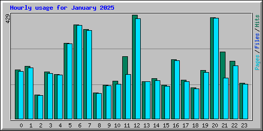 Hourly usage for January 2025