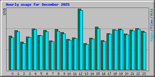 Hourly usage for December 2025