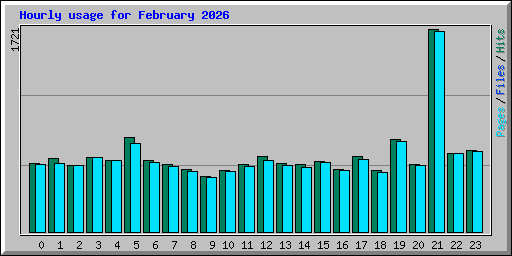 Hourly usage for February 2026