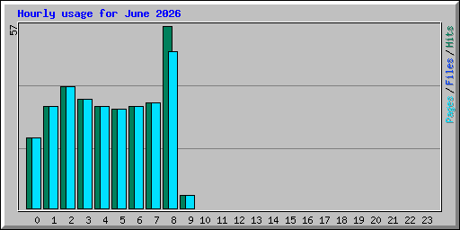 Hourly usage for June 2026