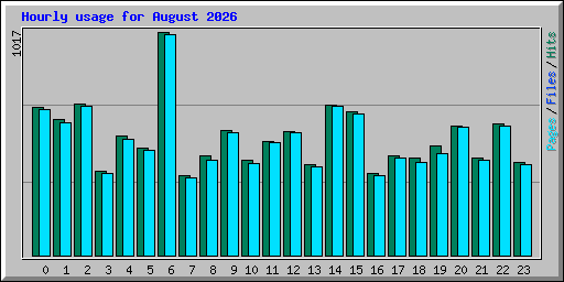 Hourly usage for August 2026